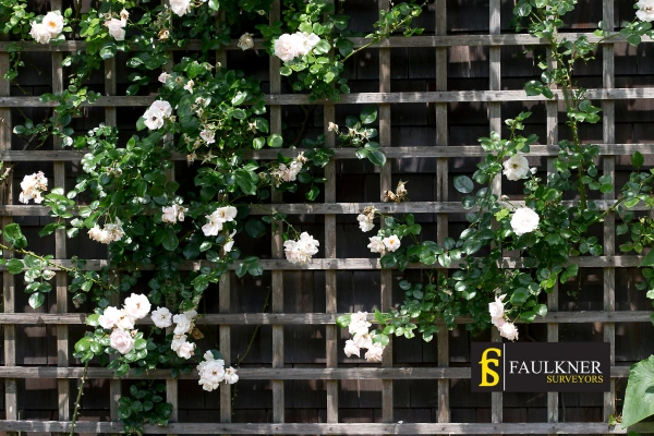 Can I put trellis on my Neighbours garage wall? 2 Do you want to adapt your neighbours garage door and add a trellis Kempston? Talk to Faulkner Surveyor Kempston